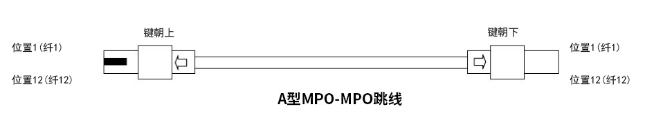 MPO正极性