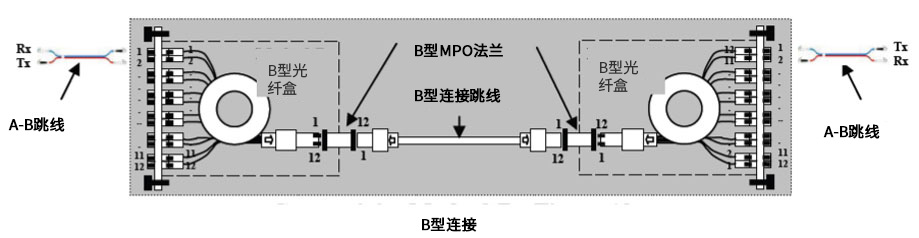 MPO极性管理B类