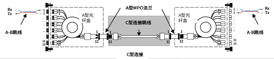 MPO极性管理C类