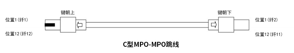 MPO交叉极性